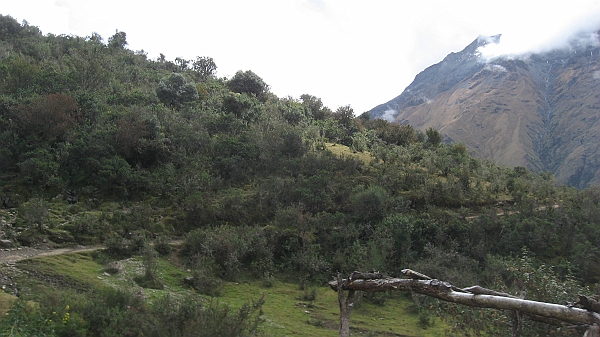 salkentay_trail_hike_043