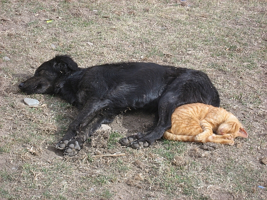 salkentay_trail_hike_072