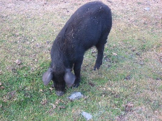 salkentay_trail_hike_097