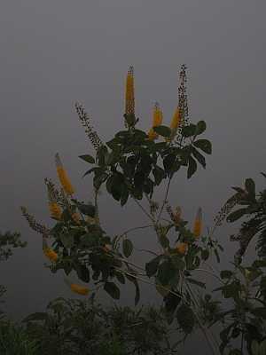 salkentay_trail_hike_184