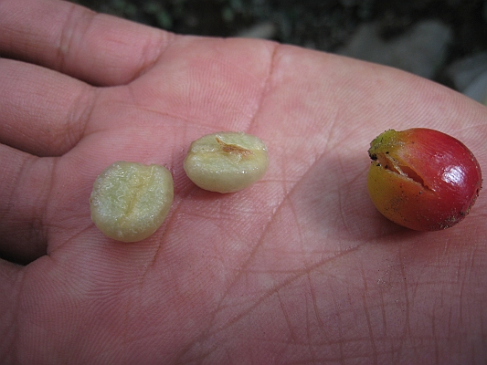 salkentay_trail_hike_263