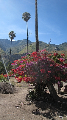 salkentay_trail_hike_321