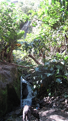 salkentay_trail_hike_328