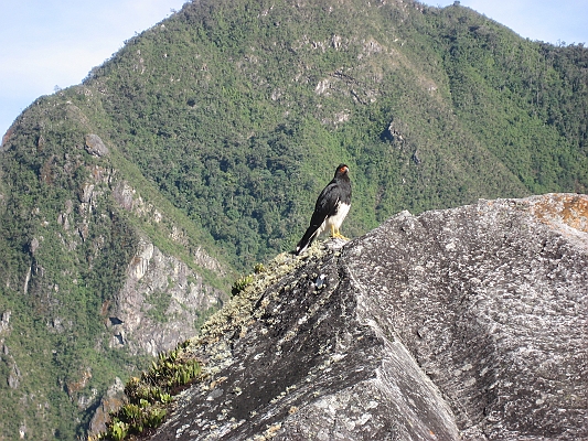 machu_picchu_043