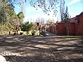 mendoza37