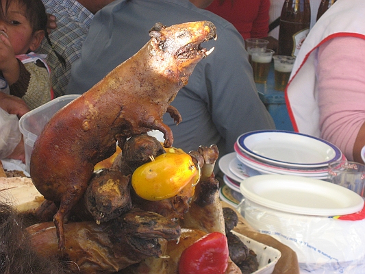 to_Cuzco_prehike_065