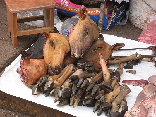 to_Cuzco_prehike_161